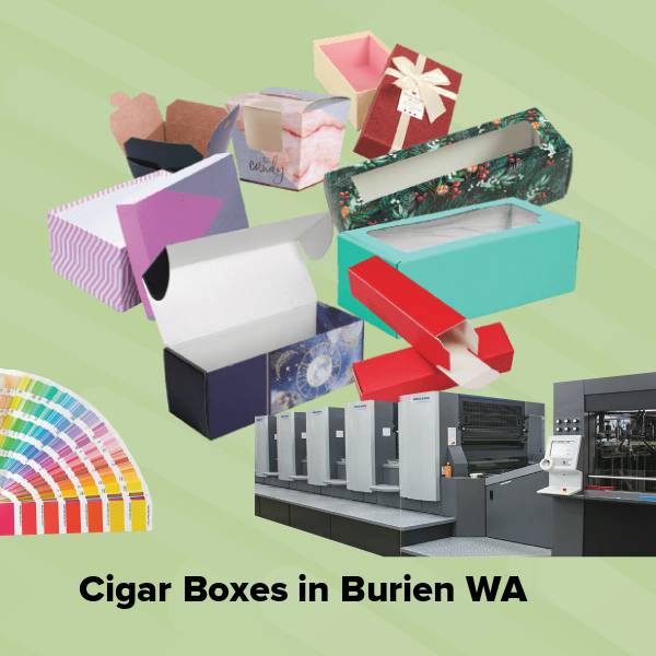 Cigar boxes in burien wa