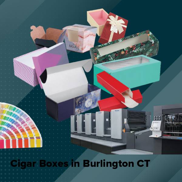 Cigar boxes in burlington ct