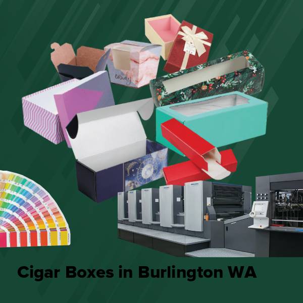 Cigar boxes in burlington wa