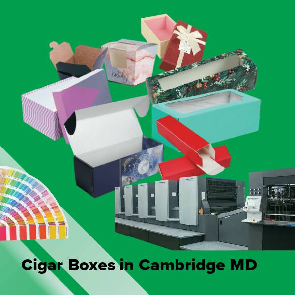 Cigar boxes in cambridge md