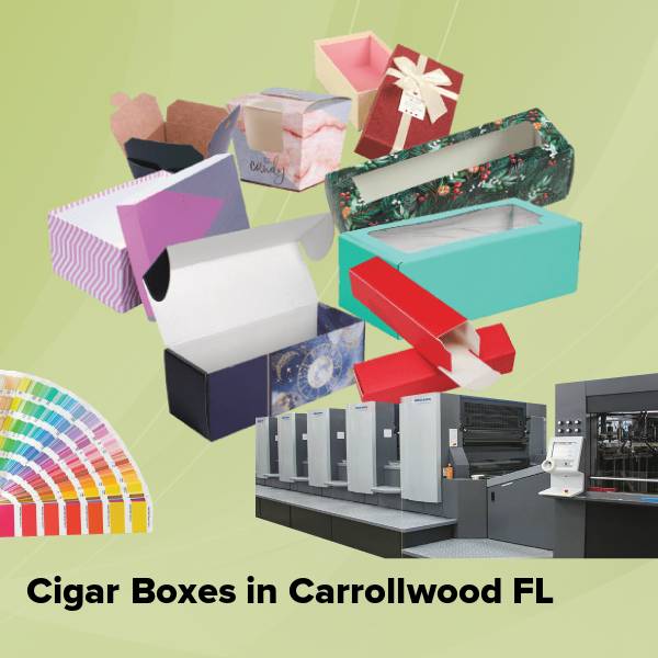 Cigar boxes in carrollwood fl