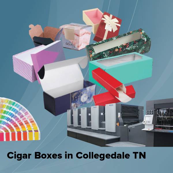 Cigar boxes in collegedale tn