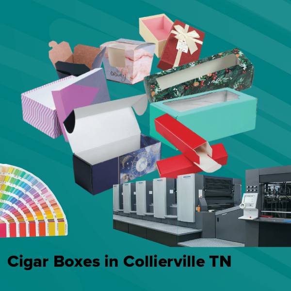 Cigar boxes in collierville tn