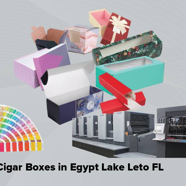 Cigar boxes in egypt lake leto fl