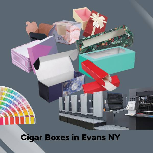 Cigar boxes in evans ny
