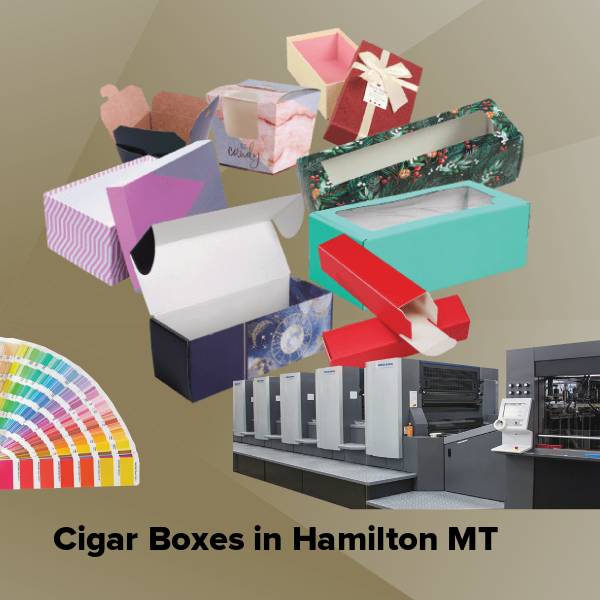 Cigar boxes in hamilton mt