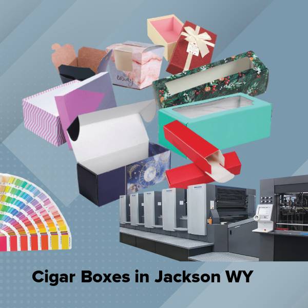 Cigar boxes in jackson wy