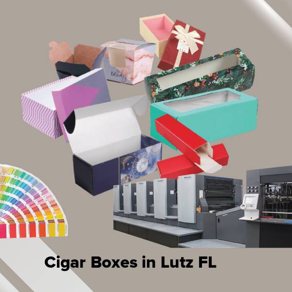 Cigar boxes in lutz fl