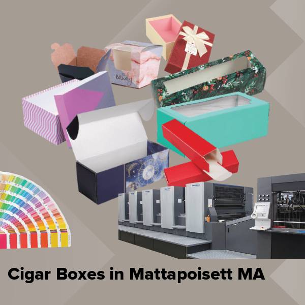 Cigar boxes in mattapoisett ma