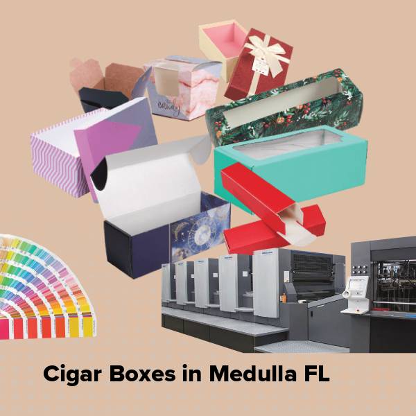 Cigar boxes in medulla fl