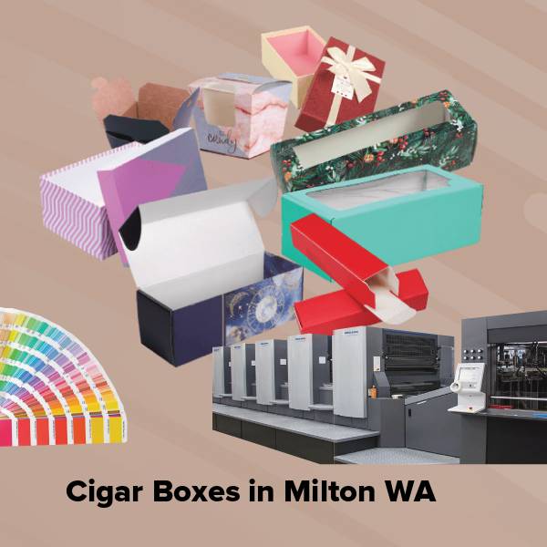 Cigar boxes in milton wa