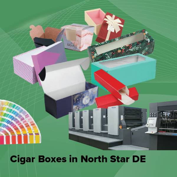 Cigar boxes in north star de