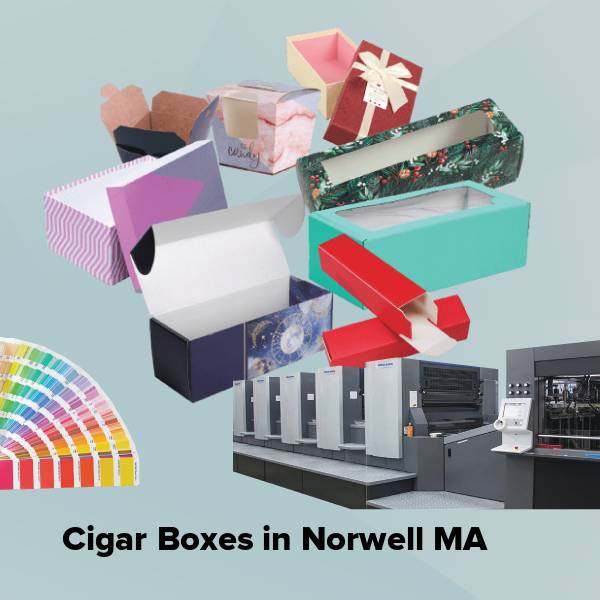 Cigar boxes in norwell ma