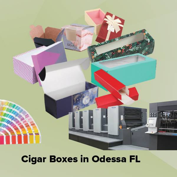 Cigar boxes in odessa fl