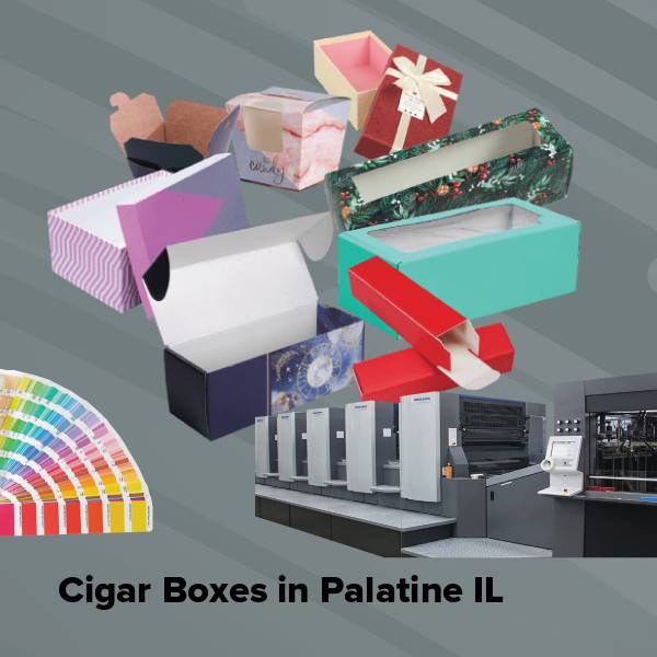 Cigar boxes in palatine il