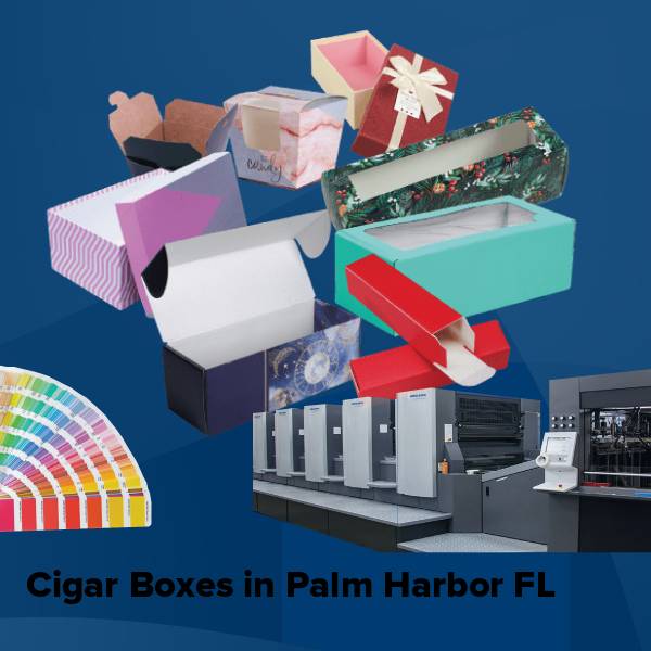 Cigar boxes in palm harbor fl