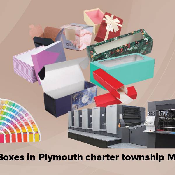 Cigar boxes in plymouth charter township mi