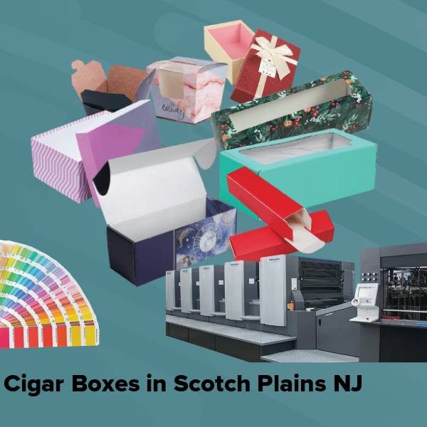 Cigar boxes in scotch plains nj
