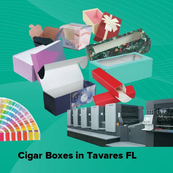 Cigar boxes in tavares fl