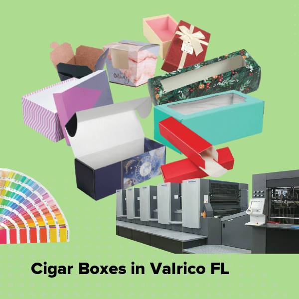 Cigar boxes in valrico fl