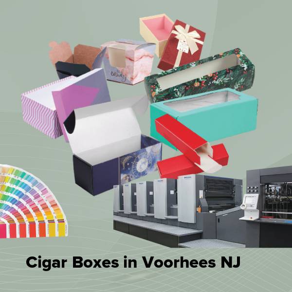 Cigar boxes in voorhees nj