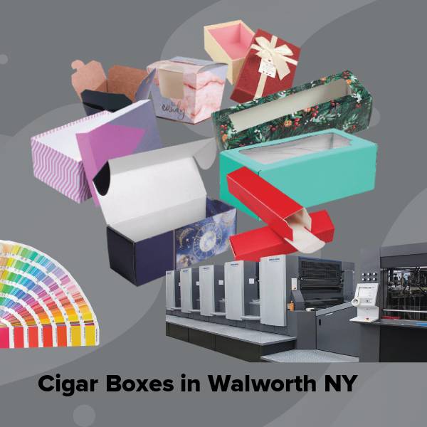Cigar boxes in walworth ny