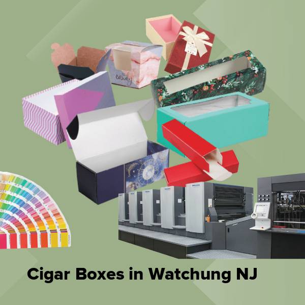 Cigar boxes in watchung nj