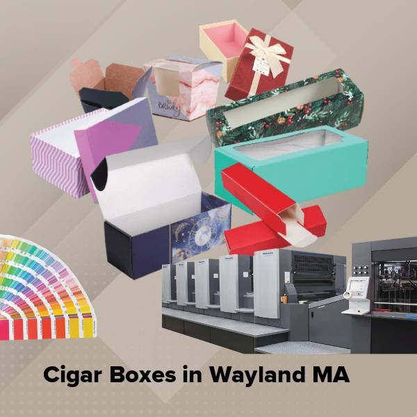 Cigar boxes in wayland ma