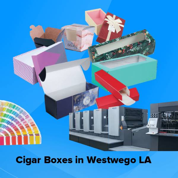 Cigar boxes in westwego la