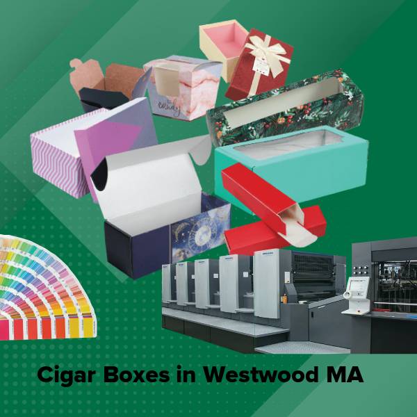 Cigar boxes in westwood ma