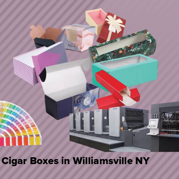 Cigar boxes in williamsville ny