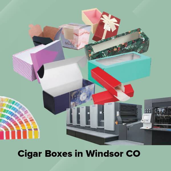 Cigar boxes in windsor co