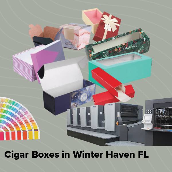 Cigar boxes in winter haven fl