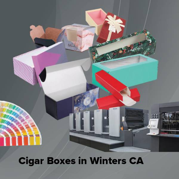 Cigar boxes in winters ca