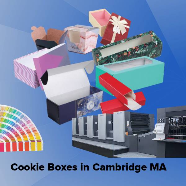 Cookie boxes in cambridge ma