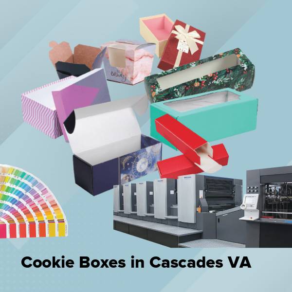 Cookie boxes in cascades va