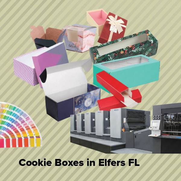 Cookie boxes in elfers fl
