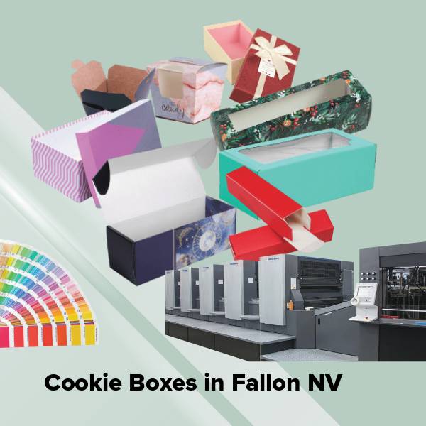 Cookie boxes in fallon nv
