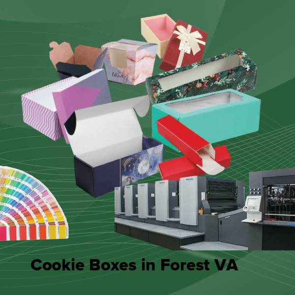 Cookie boxes in forest va