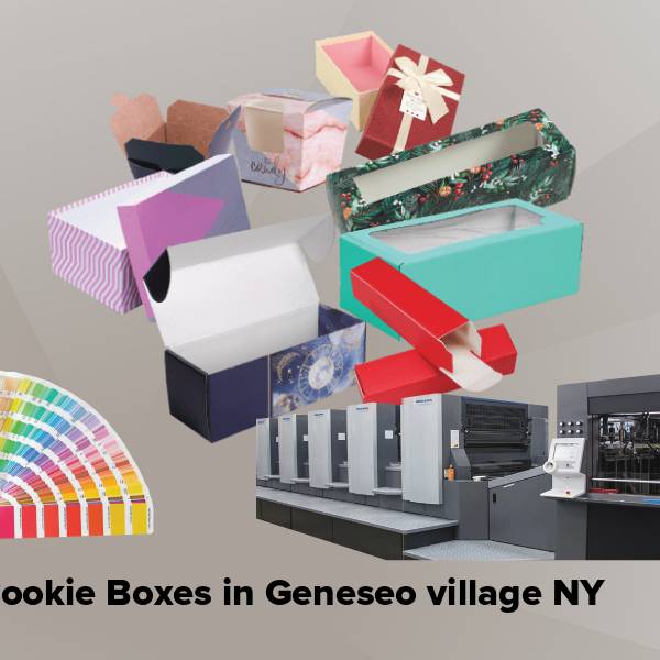Cookie boxes in geneseo village ny