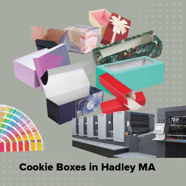 Cookie boxes in hadley ma