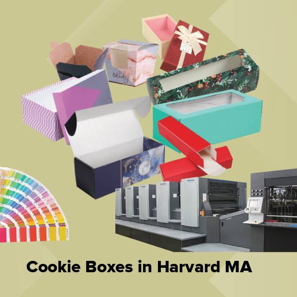 Cookie boxes in harvard ma