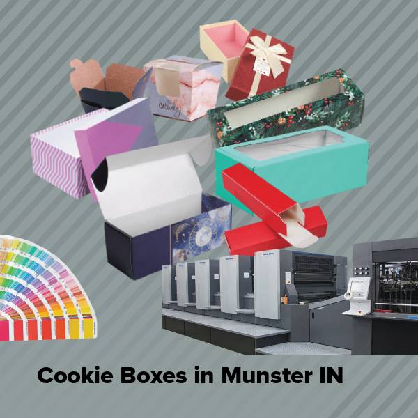 Cookie boxes in munster in