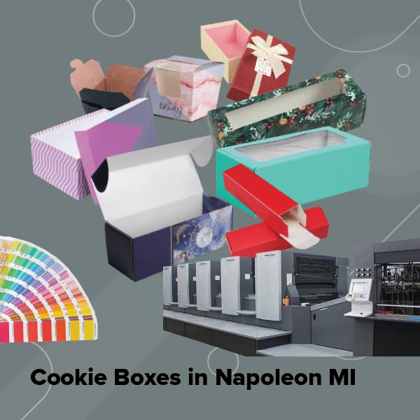 Cookie boxes in napoleon mi