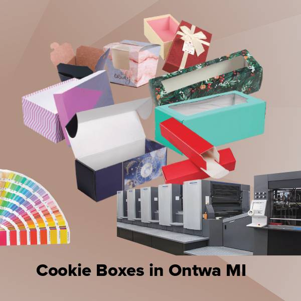Cookie boxes in ontwa mi