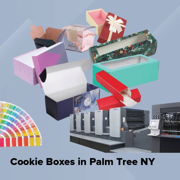 Cookie boxes in palm tree ny