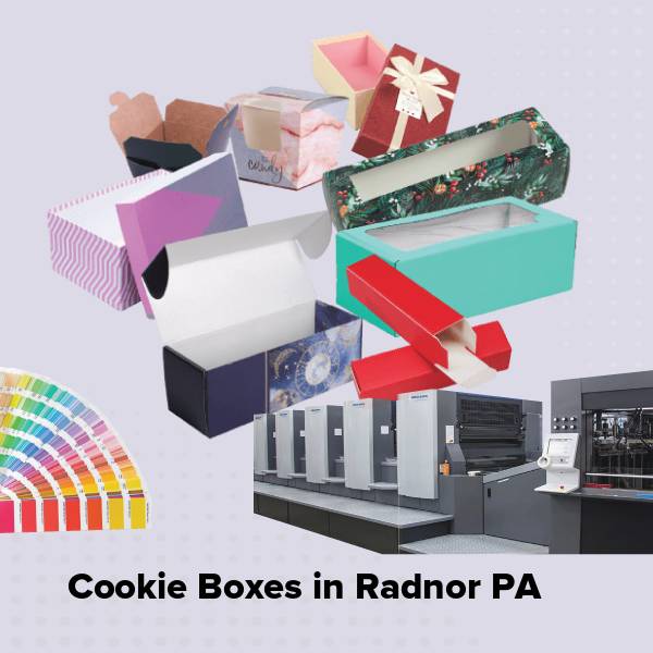 Cookie boxes in radnor pa