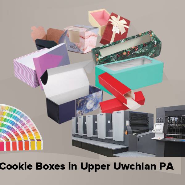 Cookie boxes in upper uwchlan pa