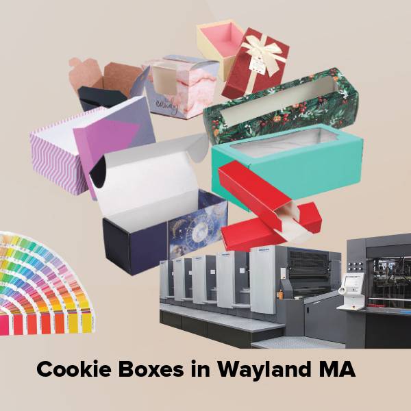 Cookie boxes in wayland ma