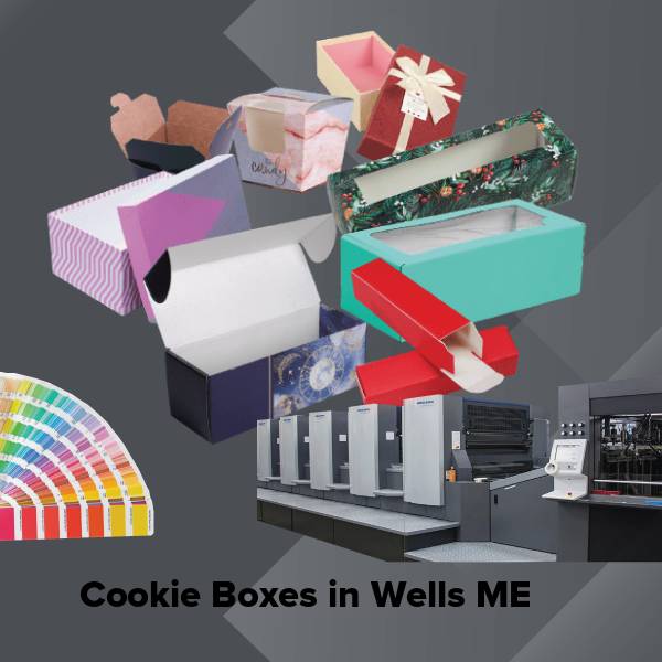 Cookie boxes in wells me
